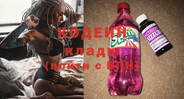 a pvp Бородино