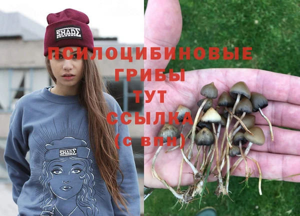 крисы Бугульма