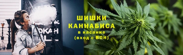 крисы Бугульма