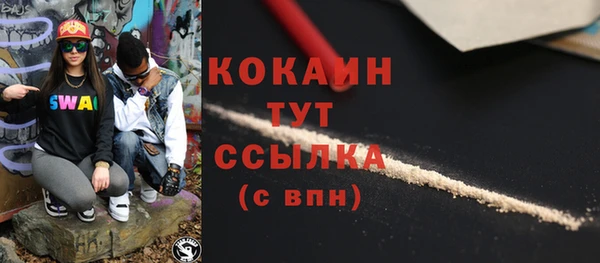 a pvp Бородино