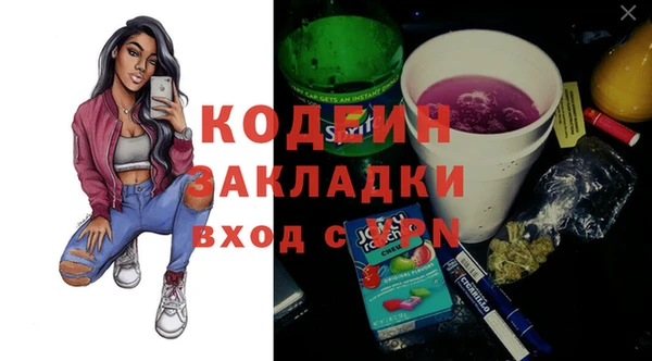 a pvp Бородино