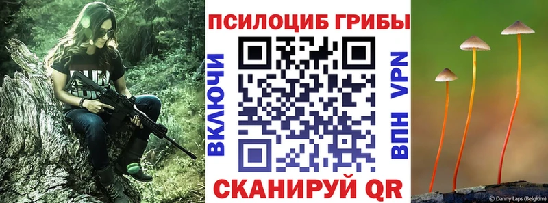 Галлюциногенные грибы мицелий  Монино 